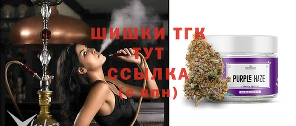 индика Магас