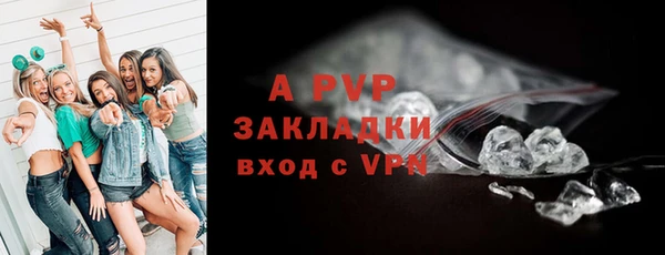 тгк Мурманск