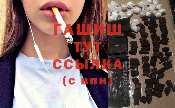 индика Магас