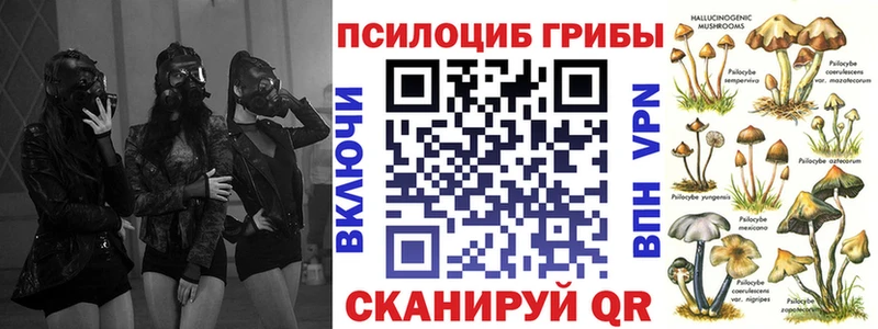 даркнет официальный сайт  Электроугли  Галлюциногенные грибы Psilocybe 